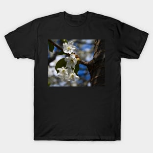 Springtime cherry blossoms T-Shirt